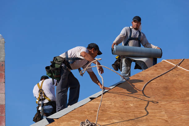 Best Storm Damage Roof Repair  in Boonville, MO